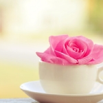 morning-cup
